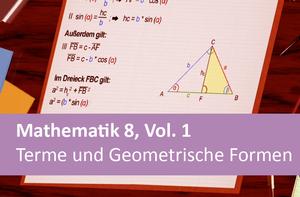 Mathematik 8, Volume 1